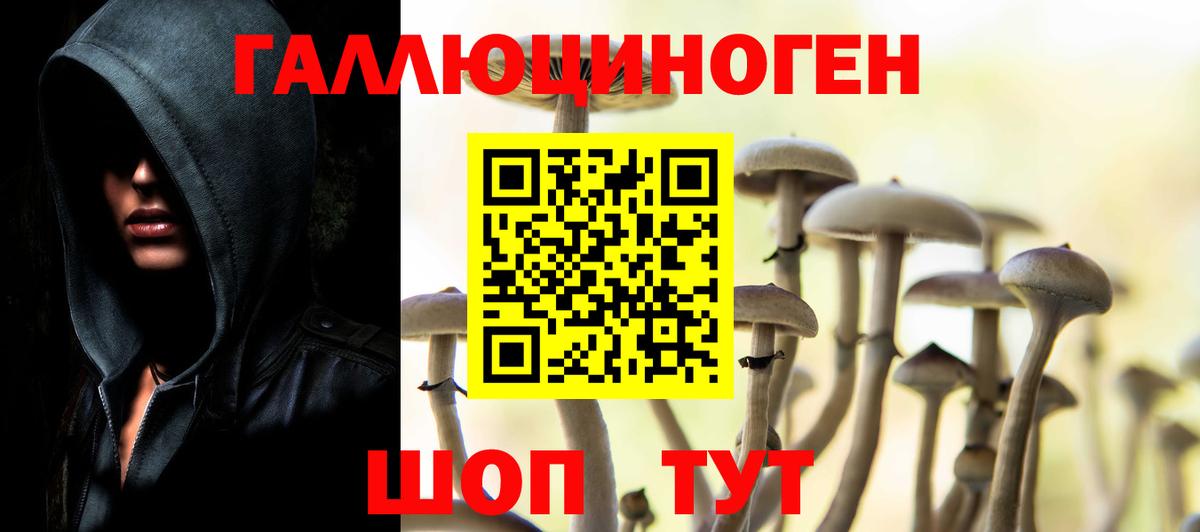 как найти закладки  Псилоцибиновые грибы прущие грибы  Галлюциногенные грибы ЛСД  Вход с VPN  Камень-на-Оби 